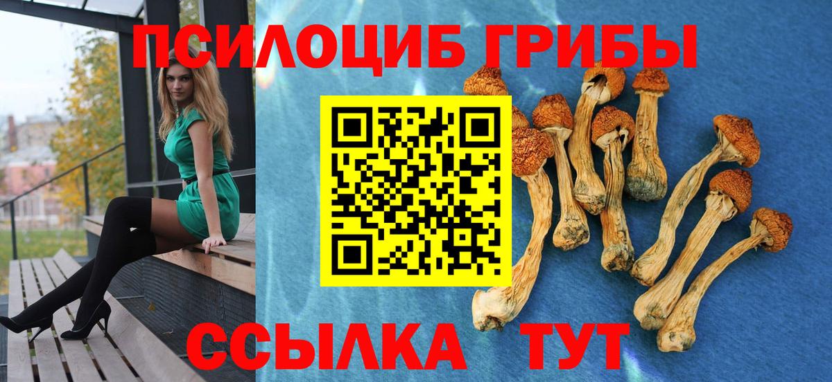 Галлюциногенные грибы мухоморы Верхняя Салда