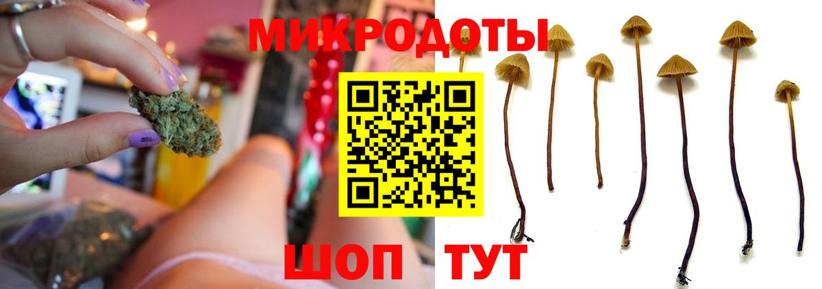 Верхняя Салда  Псилоцибиновые грибы прущие грибы  Вход с VPN  Псилоцибиновые грибы ЛСД 